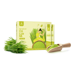 Bột nước ép tinh chất Cỏ Lúa Mì